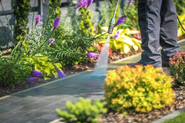 Best Patio and Deck Pressure Washing  in Beachwood, NJ
